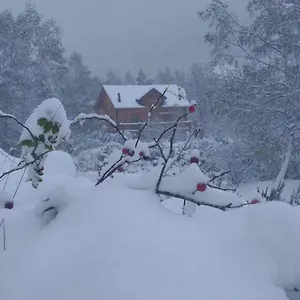 Bois Au Milieu Des Pyrénées Chalet LʼHospitalet-près-lʼAndorre